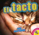 Aaron Carr, Aaron Carr - El Tacto