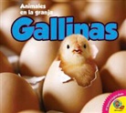 Megan Kopp - Gallinas