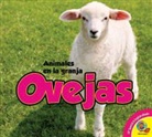 Megan Kopp - Ovejas