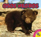 Pamela McDowell - Osos Negros