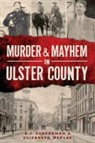 A J Schenkman, A. J. Schenkman, Adam Schenkman, Elizabeth Werlau - Murder & Mayhem in Ulster County