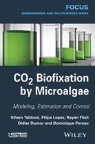 Didier Dumur, Raye Filali, Rayen Filali, Filipa Lopes, Filipa et al Lopes, Dominique Pareau... - CO2 Biofixation by Microalgae