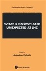Antonino Zichichi, Antonino Zichichi - WHAT IS KNOWN AND UNEXPECTED AT LHC