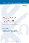 Professor Reimund Pollefeyt Bieringer, R. Pollefeyt Bieringer, Reimund Bieringer, Didier Pollefeyt, Reimund Bieringer, Michael Labahn... - Paul and Judaism