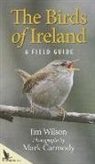 Mark Carmody, Jim Wilson, Jim Carmody Wilson, Mark Carmody - Birds of Ireland