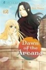 Rei Toma, Rei Toma - Dawn of the Arcana 12