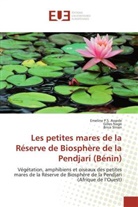 Emeline P Assede, Emeline P S Assede, Emeline P. S. Assede, Emeline P.S. Assede, Gille Nago, Gilles Nago... - Les petites mares de la reserve