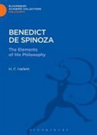 H F Hallett, H. F. Hallett - Benedict de Spinoza