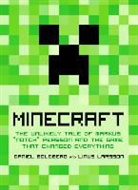 Daniel Goldberg, Daniel Hawkins Goldberg - Minecraft