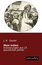 J A Sauter, J. A. Sauter - Mein Indien
