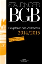 J von Staudinger, Julius Von Staudinger, Roland Michael Beckmann, Jan Busche, Jan Busche u a, Michael Coester... - Kommentar zum Bürgerlichen Gesetzbuch mit Einführungsgesetz und Nebengesetzen - [Erg.-Bd]: Eckpfeiler des Zivilrechts