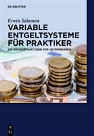 Erwin Salamon - Variable Entgeltsysteme für Praktiker