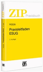 Geerit Hölzle, Gerrit Hölzle - Praxisleitfaden ESUG