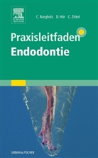 Barghol, Clemen Bargholz, Clemens Bargholz, Dr Clemen Bargholz, Dr. Clemens Bargholz, Rudolf Beer... - Praxisleitfaden Endodontie