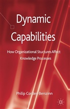 P. Cordes, Philip Cordes, Cordes P, Philip Cordes-Berszinn, Kenneth A Loparo, Kenneth A. Loparo - Dynamic Capabilities