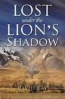 David Ray - Lost Under the Lion's Shadow