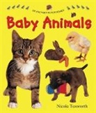 Nicola Tuxworth, Tuxworth Nicola - Say and Point Picture Boards: Baby Animals