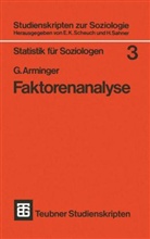 G Arminger, Gerhard Arminger - Faktorenanalyse