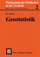 Rudolf Dutter - Geostatistik