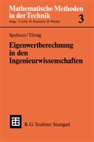 Peter Spellucci, Will Törnig, Willi Törnig - Eigenwertberechnung in den Ingenieurwissenschaften