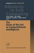 Vladimir Kvasnicka, Vladimir Kvasnicka et al, Radko Mesiar, Peter Sincak, Ja Vascak, Jan Vascak - The State of the Art in Computational Intelligence