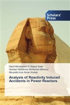 Moustafa Aziz Abdel Wahab, Mohamed Mohamed Manso, Hesham Mohamed Mohamed Mansour, Hen Mohammed El Sayed Saad, Hend Mohammed El Sayed Saad - Analysis of Reactivity Induced Accidents in Power Reactors