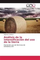 Alejandra Cañibano - Análisis de la intensificación del uso de la tierra