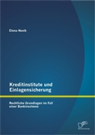 Elena Novik - Kreditinstitute und Einlagensicherung
