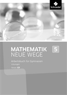 Henning Körner, Arno Lergenmüller, Günter Schmidt, Martin Zacharias - Mathematik Neue Wege SI, Ausgabe 2013 G9 für Hessen: Mathematik Neue Wege SI - Ausgabe 2013 für Hessen G9