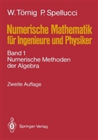 Peter Spellucci, Will Törnig, Willi Törnig - Numerische Mathematik für Ingenieure und Physiker - 1: Numerische Mathematik für Ingenieure und Physiker