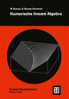 Wolfgang Bunse, Angelik Bunse-Gerstner, Angelika Bunse-Gerstner - Numerische lineare Algebra