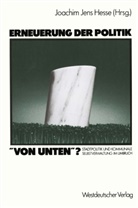 Joachim Jens Hesse, Joachi Jens Hesse, Joachim Jens Hesse - Erneuerung der Politik 'von unten'?
