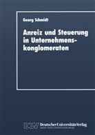 Georg Schmidt - Anreiz und Steuerung in Unternehmenskonglomeraten
