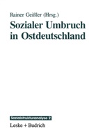 Raine Geissler, Rainer Geißler - Sozialer Umbruch in Ostdeutschland