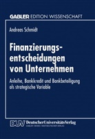 Andreas Schmidt - Finanzierungsentscheidungen von Unternehmen