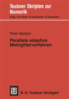 Peter Bastian - Parallele adaptive Mehrgitterverfahren