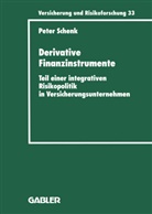 Peter Schenk - Derivative Finanzinstrumente