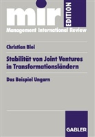 Christian Blei - Stabilität von Joint Ventures in Transformationsländern