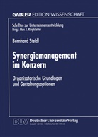 Bernhard Steidl - Synergiemanagement im Konzern