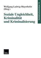 Wolfgan Ludwig-Mayerhofer, Wolfgang Ludwig-Mayerhofer - Soziale Ungleichheit, Kriminalität und Kriminalisierung