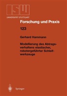 Gerhard Hammann - Modellierung des Abtragsverhaltens elastischer, robotergeführter Schleifwerkzeuge