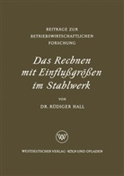 Rüdiger Hall - Das Rechnen mit Einflußgrößen im Stahlwerk