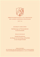 Rudolf Schulten - Die Bedeutung von Thoriumreaktoren für die Kerntechnik