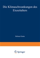 Burkhard Frenzel - Die Klimaschwankungen des Eiszeitalters