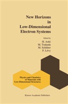 H. Aoki, Hideo Aoki, F. A. Lévy, F.A. Lévy, Francis Lévy, M. Schlüter... - New Horizons in Low-Dimensional Electron Systems