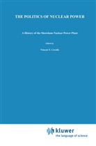 D P McCaffrey, D. P. McCaffrey, D.P. McCaffrey - The Politics of Nuclear Power