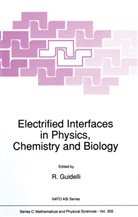 Guidelli, R Guidelli, R. Guidelli, Rolando Guidelli - Electrified Interfaces in Physics, Chemistry and Biology