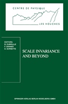 B. Dubrulle, Berengere Dubrulle, Graner, F Graner, F. Graner, Francois Graner... - Scale Invariance and Beyond