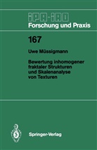 Uwe Müssigmann - Bewertung inhomogener fraktaler Strukturen und Skalenanalyse von Texturen