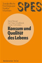 Bern Biervert, Bernd Biervert - Konsum und Qualität des Lebens